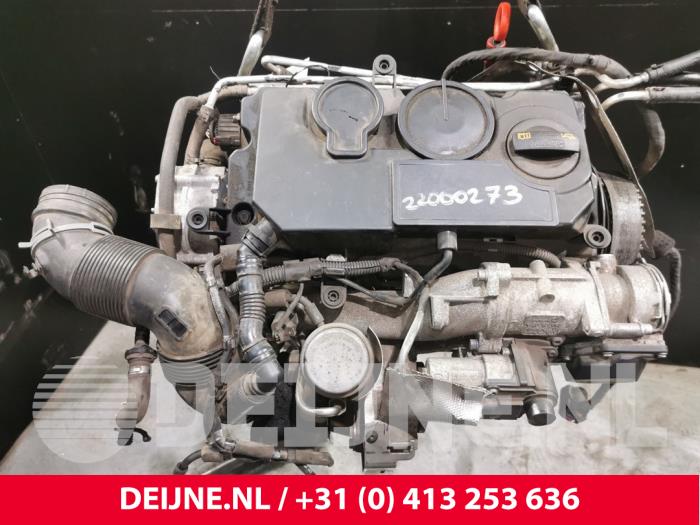 Engine Volkswagen Caddy Iii Tdi Bls