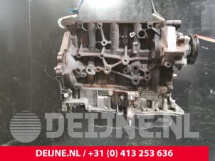 Gebrauchte Motor Unterblock Ford Transit 2.0 TDCi 16V Preis € 1.815,00 Mit Mehrwertsteuer angeboten von van Deijne Onderdelen Uden B.V.