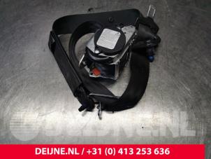 Used Front seatbelt, left Ford Transit Custom 2.2 TDCi 16V Price € 151,25 Inclusive VAT offered by van Deijne Onderdelen Uden B.V.