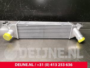 Neuf Intercooler Hyundai H300 Prix € 169,40 Prix TTC proposé par van Deijne Onderdelen Uden B.V.
