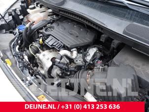 Used Engine Ford Transit Connect (PJ2) 1.5 EcoBlue Price € 2.662,00 Inclusive VAT offered by van Deijne Onderdelen Uden B.V.