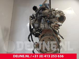 Engine from a Ford Transit Custom 2.0 EcoBlue 136 2025