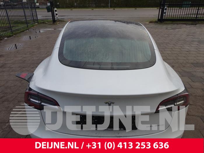 Używane Dach panoramiczny Tesla Model 3 Long Range AWD 75 kWh Cena € 786,50 Z VAT oferowane przez van Deijne Onderdelen Uden B.V.