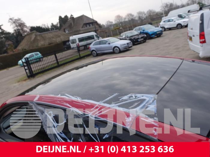 Używane Dach panoramiczny Tesla Model Y (5YJY) RWD Cena € 1.149,50 Z VAT oferowane przez van Deijne Onderdelen Uden B.V.