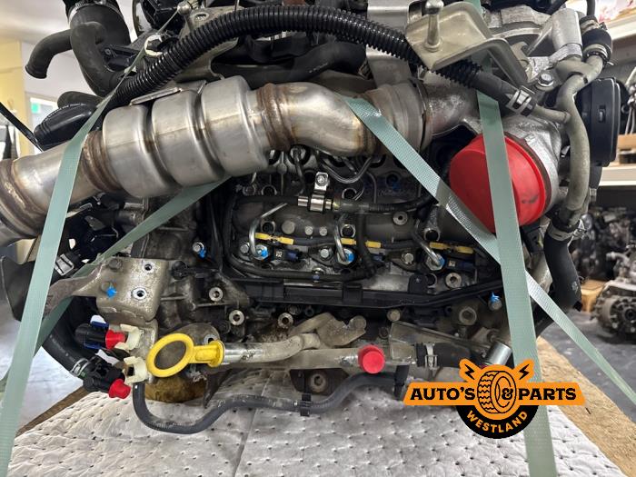 Engine from a Nissan Navara (D40) 3.0 dCi V6 24V DPF 4x4 2013