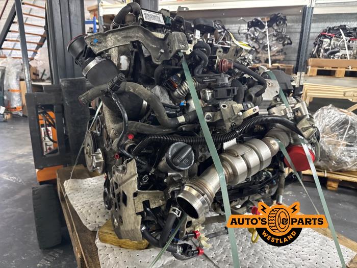 Used Engine Nissan Navara (D40) 3.0 dCi V6 24V DPF 4x4 Price € 9.075,00 Inclusive VAT offered by Auto's en Parts Westland B.V.