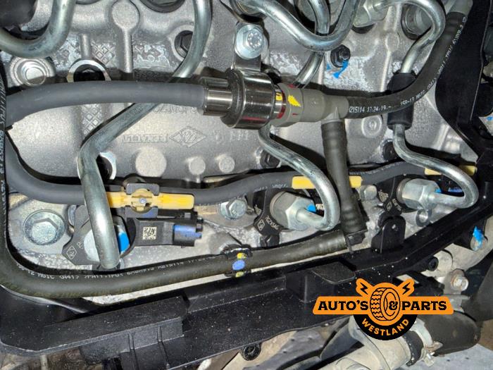 Engine from a Nissan Navara (D40) 3.0 dCi V6 24V DPF 4x4 2013