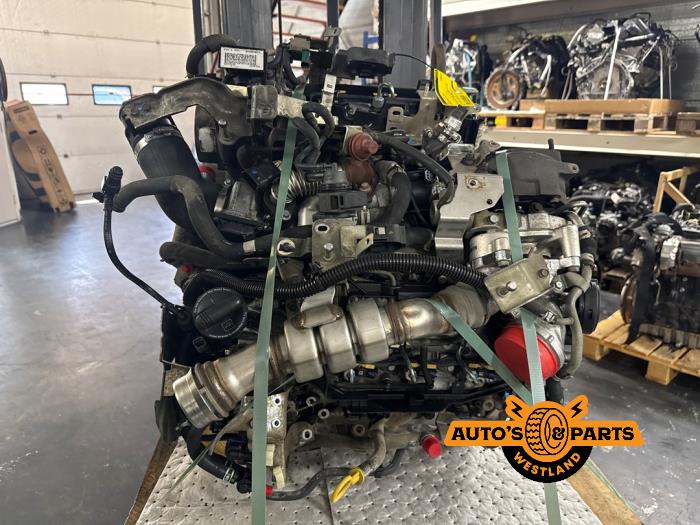 Engine from a Nissan Navara (D40) 3.0 dCi V6 24V DPF 4x4 2013