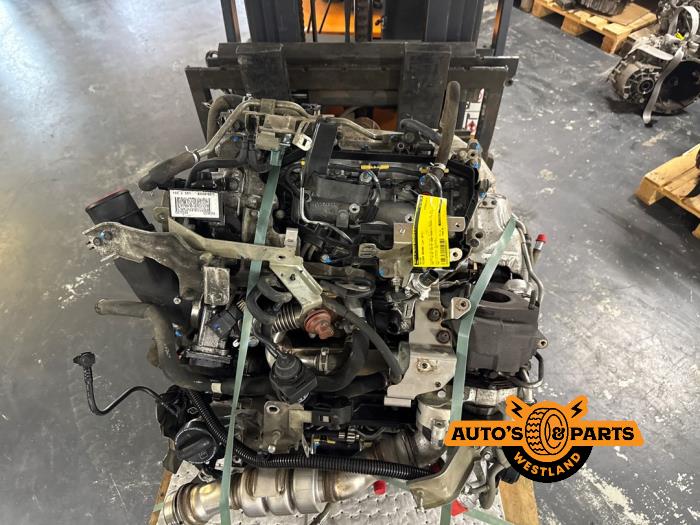 Engine from a Nissan Navara (D40) 3.0 dCi V6 24V DPF 4x4 2013