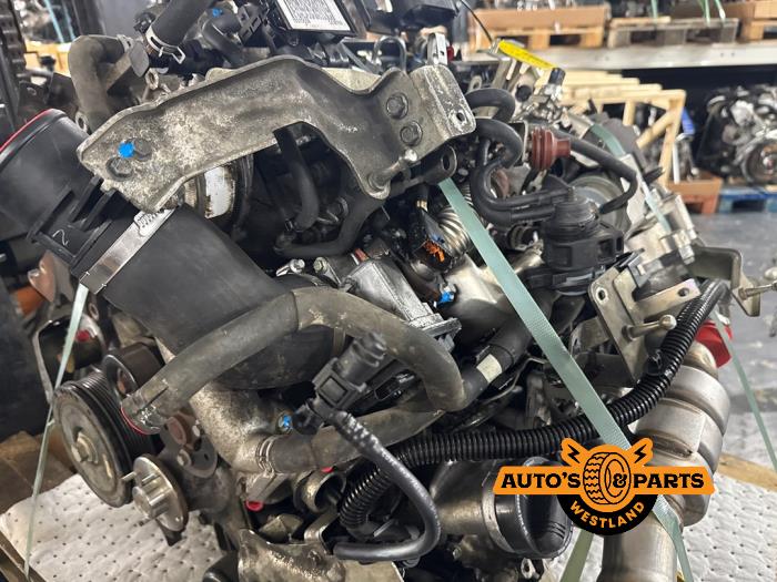 Engine from a Nissan Navara (D40) 3.0 dCi V6 24V DPF 4x4 2013