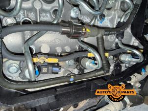 Engine from a Nissan Navara (D40) 3.0 dCi V6 24V DPF 4x4 2013