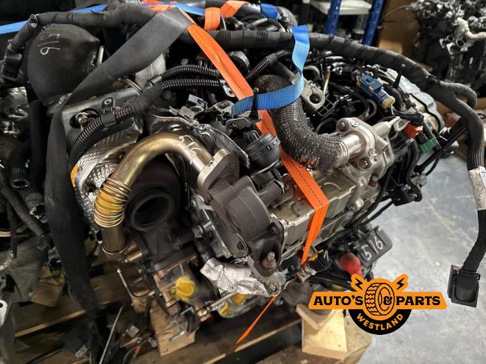 Usagé Moteur Maserati Levante 3.0 Diesel Prix € 9.500,00 Règlement à la marge proposé par Auto's en Parts Westland B.V.