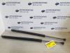 Set of tailgate gas struts from a Volkswagen Transporter T5, 2003 / 2015 2.5 TDi, Delivery, Diesel, 2.460cc, 96kW (131pk), FWD, AXD, 2003-04 / 2009-11, 7HA; 7HH; 7HZ 2004