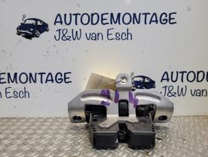 Used Tailgate lock mechanism Ford Fiesta 7 1.1 Ti-VCT 12V 85 Price € 24,20 Inclusive VAT offered by Autodemontage J&W van Esch