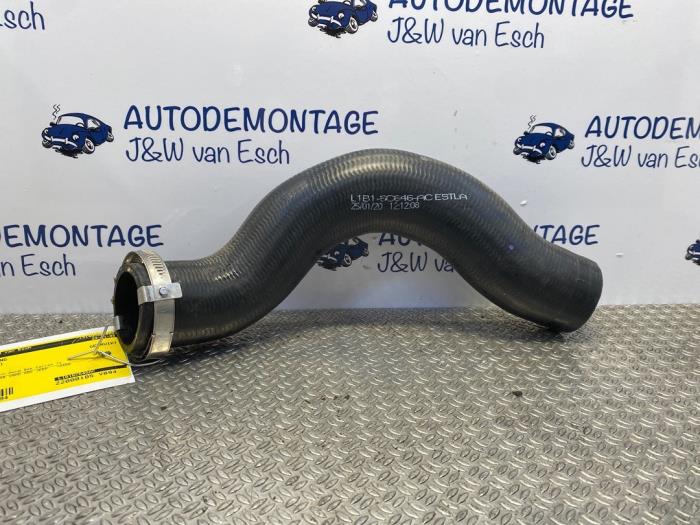 Gebrauchte Intercooler Schlauch Ford Puma 1.0 Ti-VCT EcoBoost Hybrid 12V Preis € 90,75 Mit Mehrwertsteuer angeboten von Autodemontage J&W van Esch