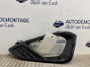 Gebrauchte Abdeckplatte Nebelscheinwerfer links Ford Fiesta 7 1.0 EcoBoost 12V 100 Preis € 24,20 Mit Mehrwertsteuer angeboten von Autodemontage J&W van Esch