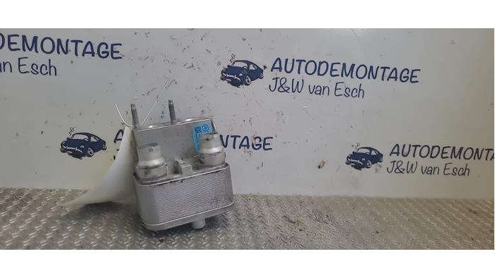 Usagé Refroidisseur clim Peugeot 208 II (UB/UH/UP) e-208 50 kWh Prix € 84,70 Prix TTC proposé par Autodemontage J&W van Esch