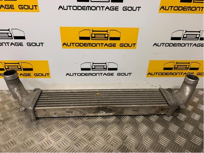 Usados Intercooler Mercedes SLK (R170) 2.3 230 K 16V Precio € 39,99 Norma de margen ofrecido por Autodemontage Gout