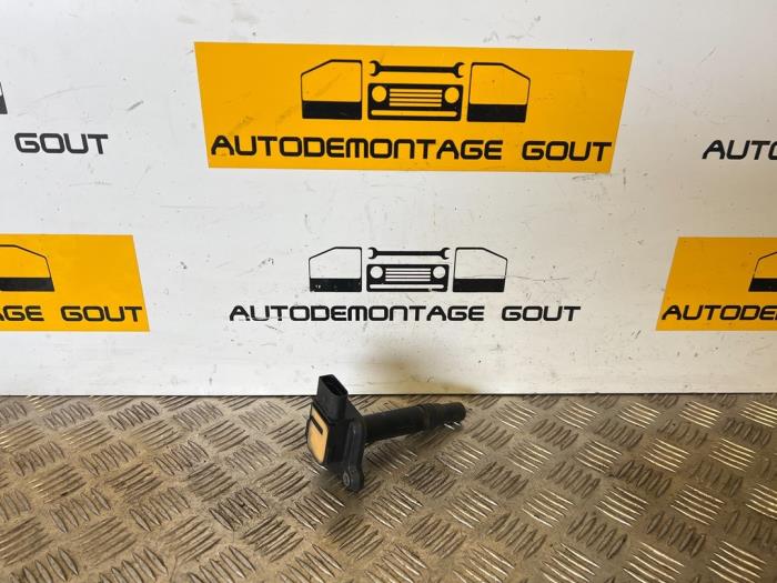 Usagé Broche bobine Audi TT (8N3) 1.8 T 20V Quattro Prix € 9,99 Règlement à la marge proposé par Autodemontage Gout