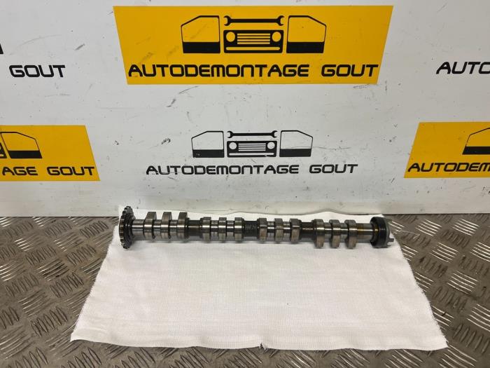 Usagé Arbre à cames Audi TT (8N3) 1.8 T 20V Quattro Prix € 99,95 Règlement à la marge proposé par Autodemontage Gout