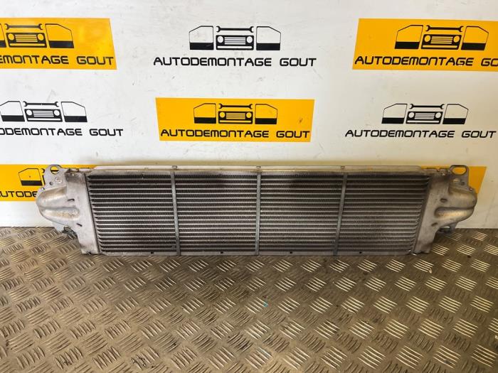 Usados Intercooler Volkswagen Transporter T5 1.9 TDi Precio € 59,99 Norma de margen ofrecido por Autodemontage Gout