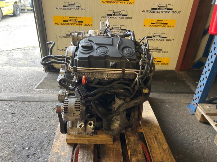 Engine Volkswagen Caddy III 1.9 TDI - BLS - Autodemontage Gout