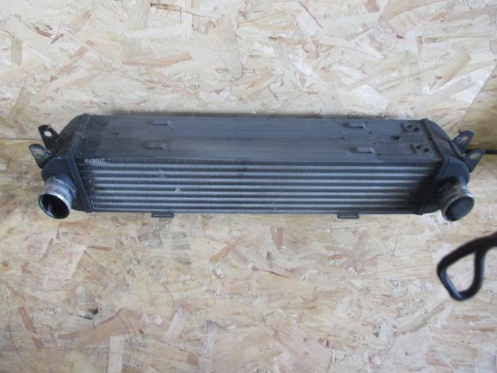 Intercooler Landrover Range Rover Sport (LS), Véhicule Tout Terrains, 2005 / 2013 (Occasion)