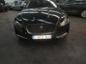 Used Front wing, right Jaguar XF (X260) 2.0d 180 16V Price € 242,00 Inclusive VAT offered by Garage Callant