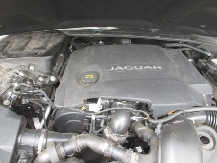 Rear shock absorber, left from a Jaguar XJ (X351) 3.0 D V6 24V 2017