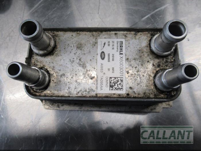56bb0580-d23e-4c6e-ad24-