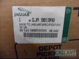 Nowe Listwa ozdobna Jaguar XK 8 Cena € 302,50 Z VAT oferowane przez Garage Callant