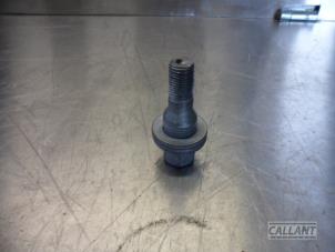 Used Set of wheel bolts Opel Corsa F (UB/UH/UP) 1.2 12V 75 Price € 30,25 Inclusive VAT offered by Garage Callant