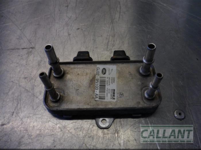 Usagé Refroidisseur de carburant Jaguar E-Pace 2.0 D 150 16V AWD Prix € 60,50 Prix TTC proposé par Garage Callant