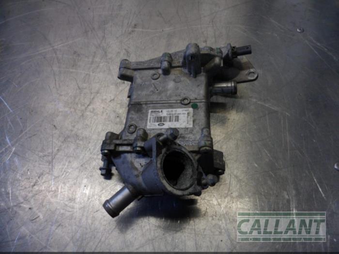 EGR cooler Jaguar E-Pace 2.0 D 150 16V AWD - LR073730 204DTD