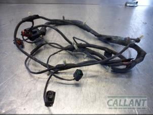 Usados Mazo de cables PDC Jaguar S-type (X200) 2.7 TD 24V Euro IV Precio € 30,25 IVA incluido ofrecido por Garage Callant