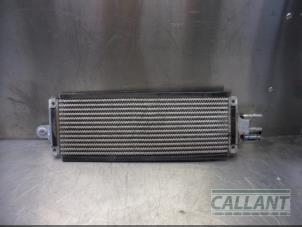 Usados Refrigerador de combustible Jaguar XF Sportbrake 2.0d 163 E-Performance 16V Precio € 72,60 IVA incluido ofrecido por Garage Callant