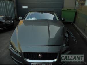 Usagé Affichage tête haute Jaguar XE 2.0d 180 16V Prix € 907,50 Prix TTC proposé par Garage Callant