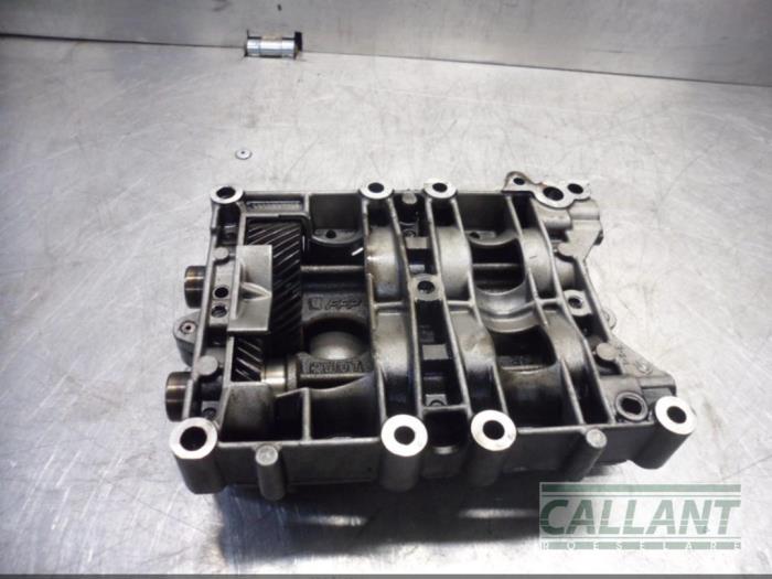 Używane Wal balansujacy Landrover Range Rover Evoque (LVJ/LVS) 2.2 TD4 16V 5-drs. Cena € 211,75 Z VAT oferowane przez Garage Callant