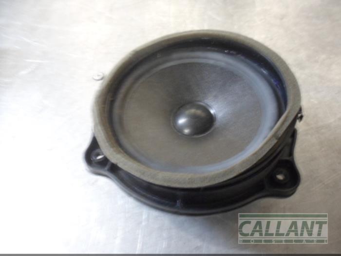 Rear door speaker