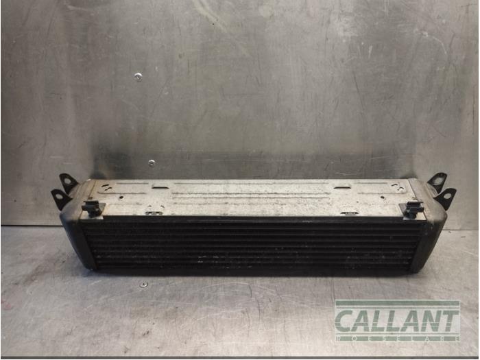 Usagé Intercooler Landrover Range Rover Sport (LS) 2.7 TDV6 24V Prix € 90,75 Prix TTC proposé par Garage Callant
