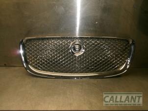 Used Grille Jaguar XJ (X351) 3.0 D V6 24V Price € 453,75 Inclusive VAT offered by Garage Callant