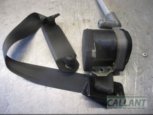 New Front seatbelt, left Jaguar XJ8 (X308) Price € 302,50 Inclusive VAT offered by Garage Callant
