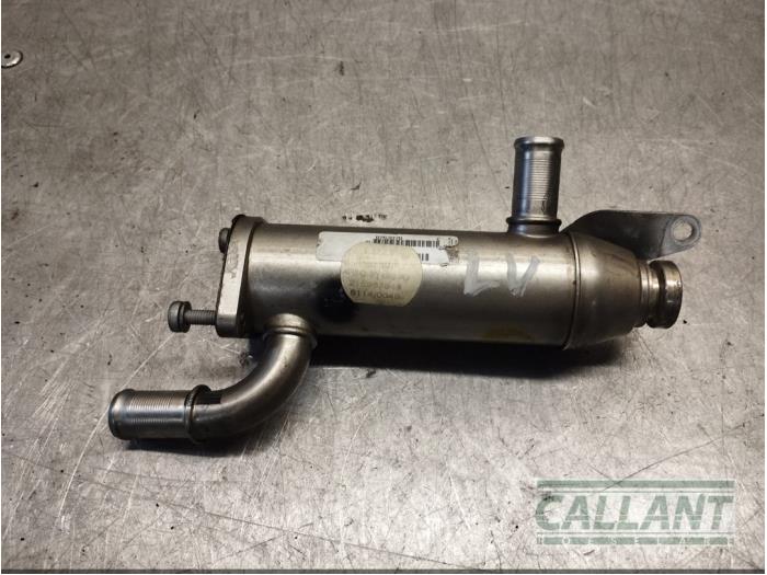 EGR cooler Jaguar XF 2.7 D V6 24V - 1336562 306DT