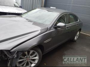 Gebrauchte Tür 4-türig links vorne Jaguar XF (X260) 2.0d 180 16V Preis € 453,75 Mit Mehrwertsteuer angeboten von Garage Callant