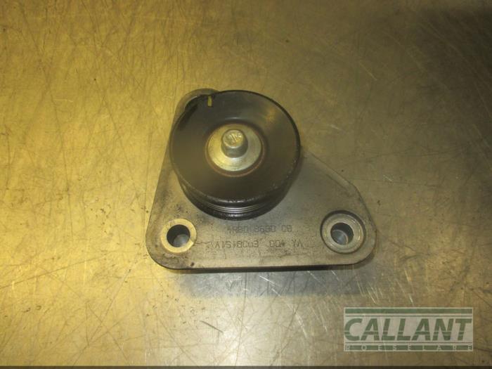 Usados Rodillo correa múltiple Jaguar XJ (X351) 3.0 D V6 24V Precio € 30,25 IVA incluido ofrecido por Garage Callant