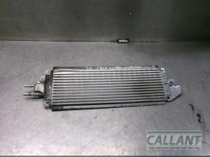 Used Fuel cooler Landrover Velar Price € 223,85 Inclusive VAT offered by Garage Callant