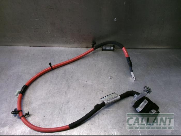 Używane Biegun akumulator Landrover Range Rover IV (LG) 3.0 TDV6 24V Cena € 151,25 Z VAT oferowane przez Garage Callant