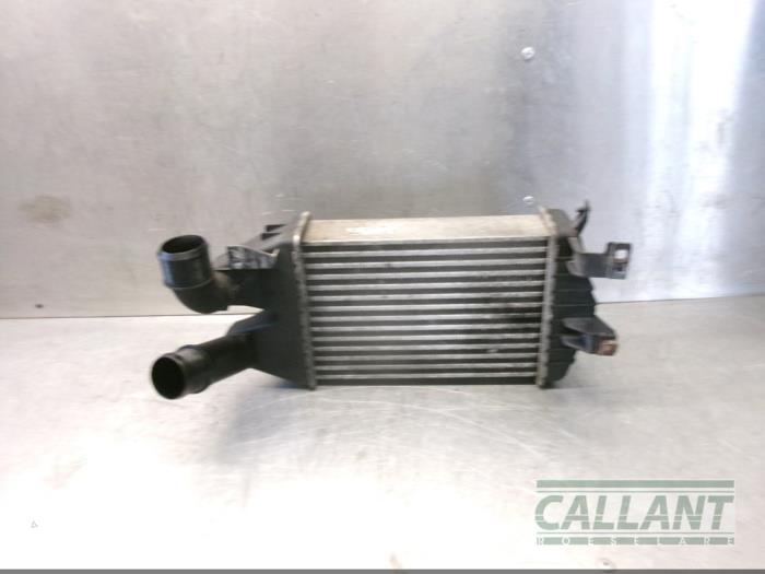 Usagé Intercooler Opel Astra H SW (L35) 1.3 CDTI 16V Ecotec Prix € 48,40 Prix TTC proposé par Garage Callant