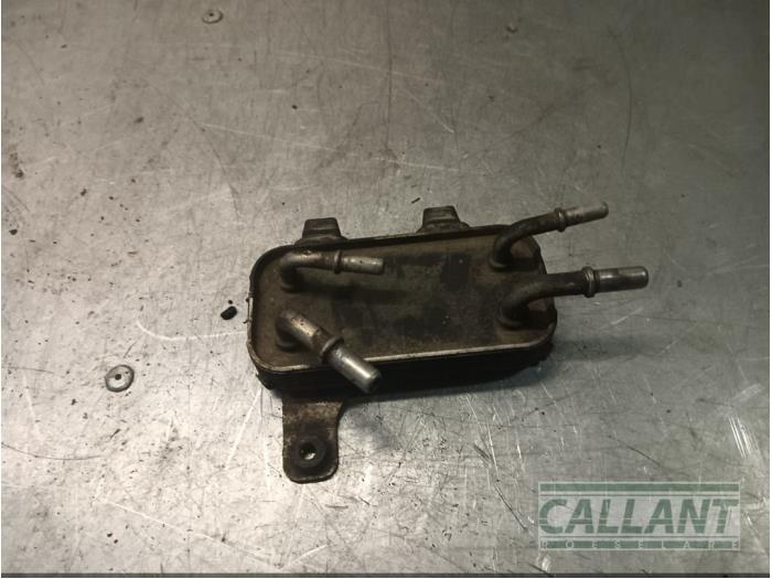 Gebrauchte Kraftstoffkühler Landrover Discovery III (LAA/TAA) 2.7 TD V6 Preis € 60,50 Mit Mehrwertsteuer angeboten von Garage Callant