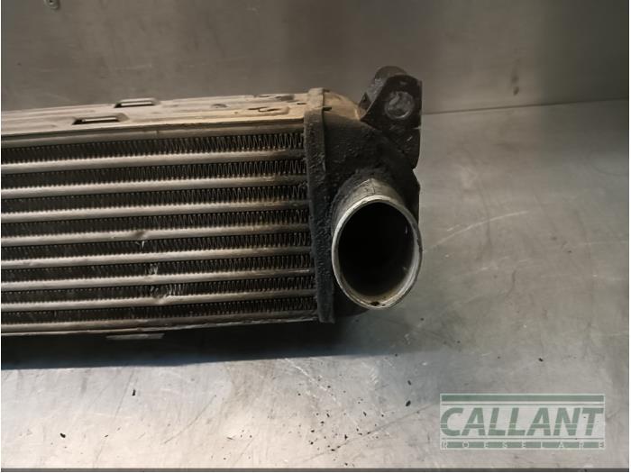 Used Intercooler Landrover Discovery III (LAA/TAA) 2.7 TD V6 Price € 78,65 Inclusive VAT offered by Garage Callant